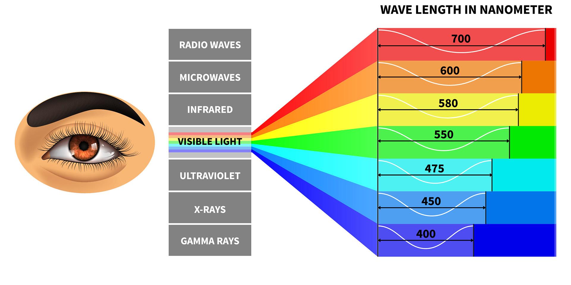 Espetro de luz visível com comprimentos de onda de cor percebido pelo olho humano.