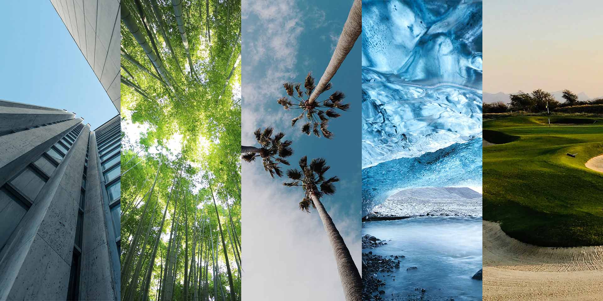 Colagem de imagens de diferentes ambientes exteriores: urbano, floresta, praia e campo de golfe. 