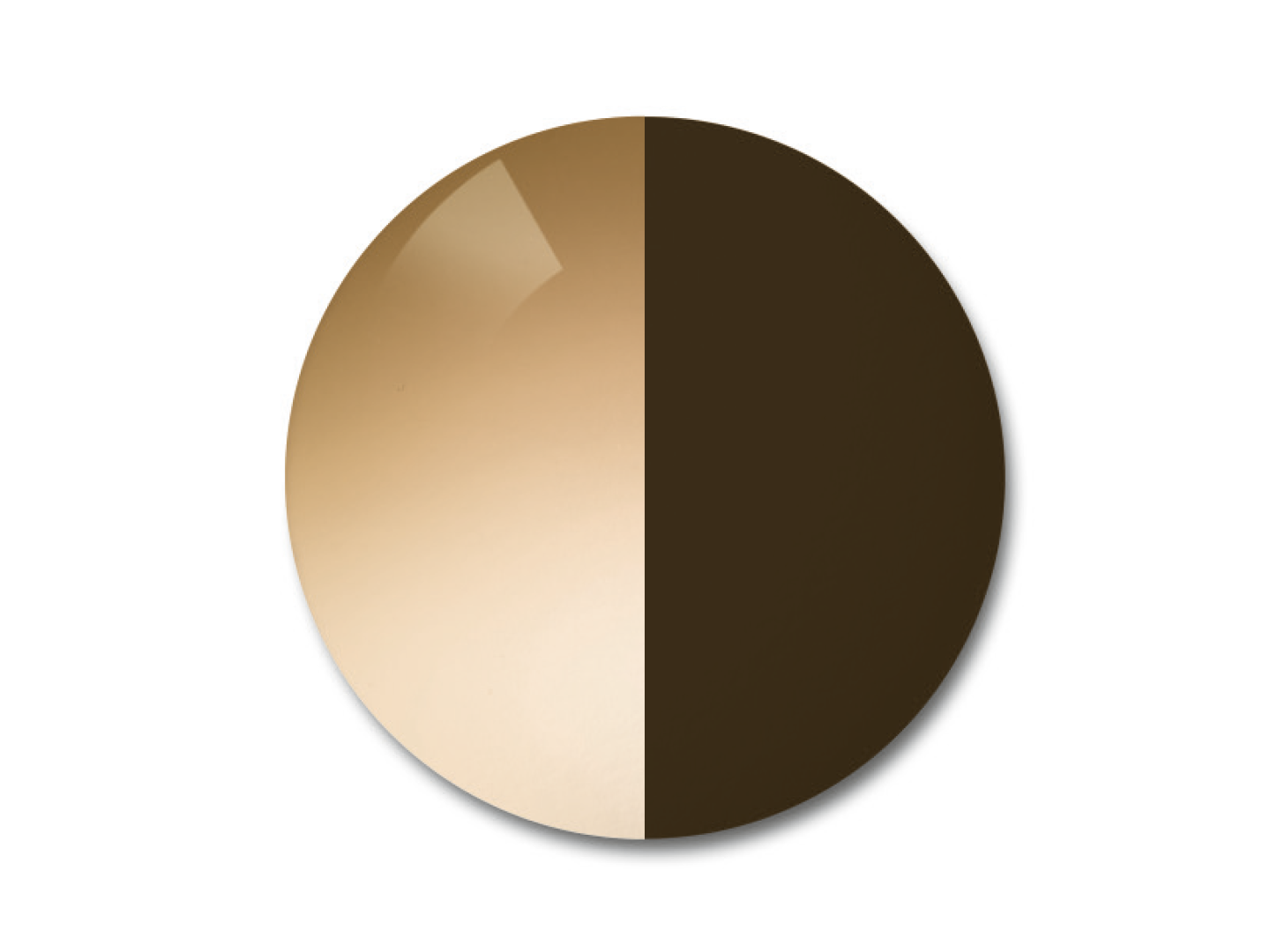 Ilustração da lente fotocromática ZEISS AdaptiveSun na opção de cor brown degradê